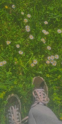 daisy flowers vans grass legs forest livada garden cittage core Katelyn + Core + Aesthetic, Sam + Core + Aesthetic, Laura + Core + Aesthetic, Nicole + Core + Aesthetic, Aesthetic Daisy Flower, Katelyn Core, Hanna Core, Paige Core, Daisy Core