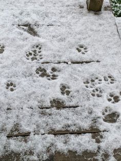 January Aestethic, Harsh Winter Aesthetic, Winter Aethestic, Soft Winter Aesthetic, January Aesthetic Month, White Winter Aesthetic, Warm Winter Aesthetic, Winter Mood Aesthetic, Rain Drops On Window