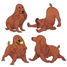 four dogs with different expressions on their faces and body, one has a tennis ball in its mouth