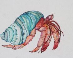 a watercolor drawing of a crab with a shell on it's back legs