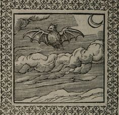 an illustration of a bat flying over the clouds