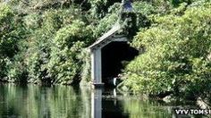 an outhouse in the middle of some water surrounded by trees