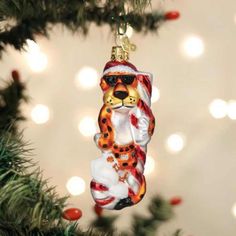 a glass ornament hanging from a christmas tree