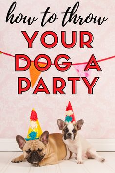 two dogs wearing party hats with the words, how to throw your dog a party