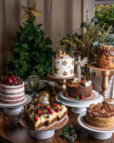 a table topped with lots of cakes next to a christmas tree and potted plant