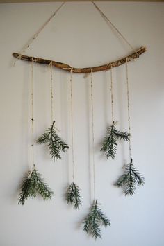 a group of small green plants hanging from a branch on a wall next to a white wall