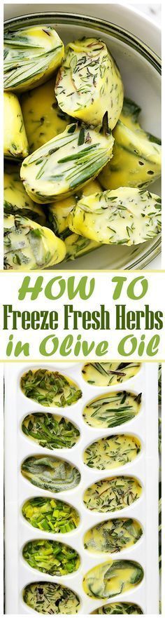 how to freeze fresh herbs in olive oil