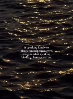 the water is reflecting light from above it and there is a quote that reads, if speaking kindly to plants can help them grow