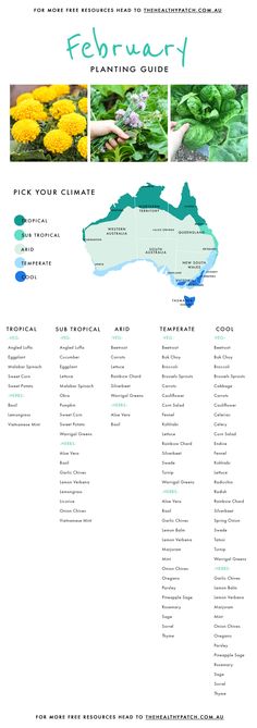 the map shows different types of plants and flowers