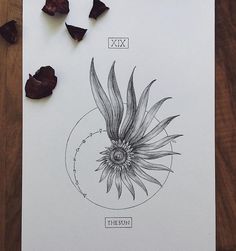 a piece of paper with an image of a flower on it next to dried flowers