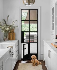 a brown dog sitting on top of a rug in front of a kitchen sink and door