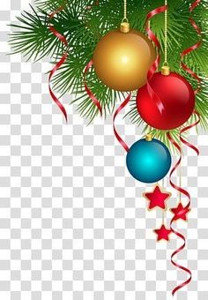 christmas ornaments hanging from a pine tree branch with red and blue ribbons, transparent png