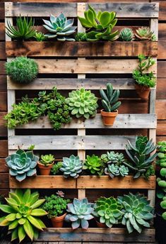 a wooden pallet filled with lots of succulents