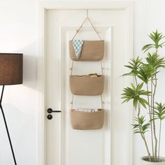 three baskets are hanging on the wall near a potted plant and lamp in front of a white door