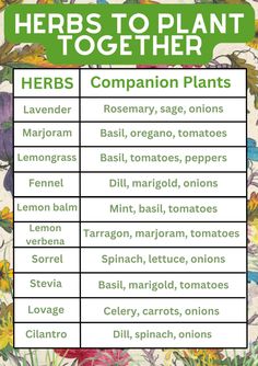 the herbs to plant together are labeled in green and white letters, with flowers on them