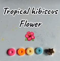 the words tropical hibiscoss flower written in white with colorful beads and flowers