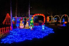 christmas lights are on display in the yard