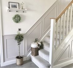 some plants are sitting on the stairs