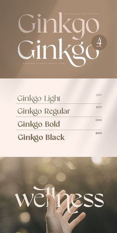 Created to answer for any person who needs Classy Modern Serif to leverage designer or product owner that need solutions to make their design look more classy and elegance. And specially for Ginkgo, We just released 4 weights, any ligatures, and any alternate characters to help you create unlimited variations for creative needs. $15 Vintage Branding Design, Product Owner, Classy Fonts, Free Commercial Fonts, Minimalist Font, Elegant Serif Fonts, Modern Serif, Font Combinations