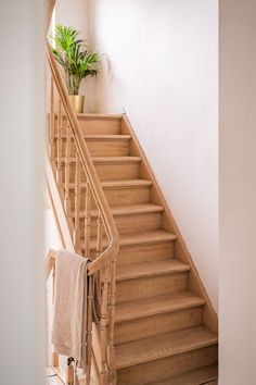 there is a plant on top of the stair case next to the towel rack and potted plant