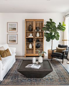 a living room filled with furniture and a large potted plant on top of a coffee table