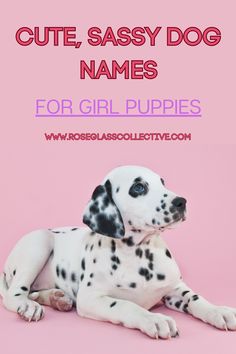 dog names aesthetic Names Female Unique