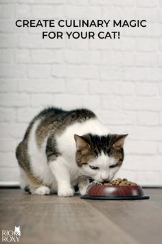 DIY Cat Food, Cat Treats