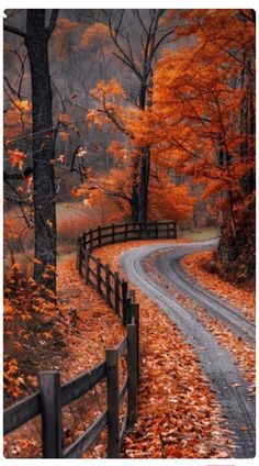 Beautiful Autumn Pictures, Happiness Wallpaper Aesthetic, Aesthetic Fall Images, Autumn Beauty Wallpaper, Autumn Wallpaper Phone, October Scenery, Beautiful Screensavers Phone Wallpapers, Autumn Pictures Art, Wallpaper Backgrounds Autumn