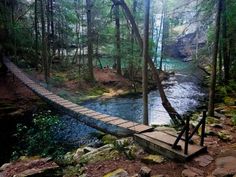 a wooden bridge over a river in the woods