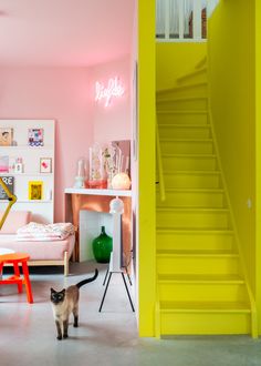 a cat is walking in the middle of a room with yellow stairs and pink walls