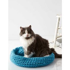 a gray and white cat sitting in a blue crochet bed