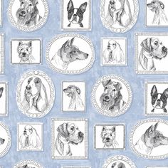 a blue background with dogs drawn in different styles and sizes, all surrounded by oval frames