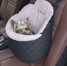 a small dog is sitting in a car seat