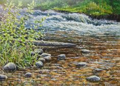 a painting of a river with rocks and grass