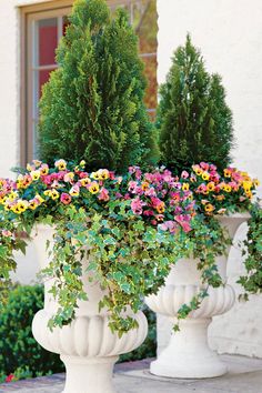 two large white vases filled with colorful flowers