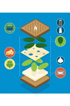 an info graphic showing the different types of food