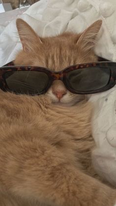 an orange cat wearing sunglasses laying on top of a bed