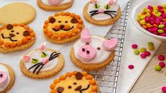 cookies decorated to look like animals and cats