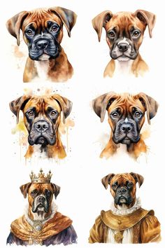 🐶 Boxer Watercolor Portraits. Puppy, adult and royal version. Watercolor dog memorial gift idea. 🎁 Personalized Boxers