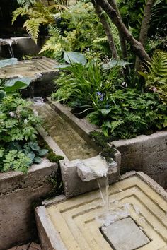 a water fountain surrounded by plants and trees