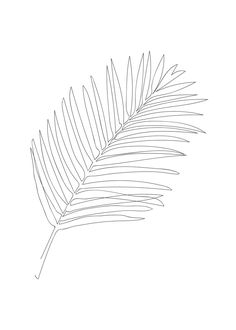 a black and white drawing of a palm leaf