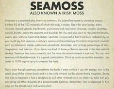 Sea Moss Tea, Home Remedy For Headache, Natural Diuretic, Squeezed Lemon, Irish Moss, Alkaline Diet, Sea Moss, Spring Water, How To Squeeze Lemons