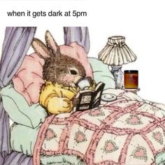 an image of a rabbit in bed with the caption when it gets dark at 5pm