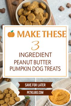 3 Ingredient Peanut Butter Pumpkin Dog Treats Healthy Pumpkin Dog Treats, Pumpkin And Peanut Butter Dog Treats, Peanut Butter And Oats Dog Treats, Simple Dog Treats Homemade, Simple Dog Treat Recipes, Easy Dog Treats 2 Ingredients, Peanut Butter Treats For Dogs, Pumpkin Treats For Dogs, 2 Ingredient Dog Treats