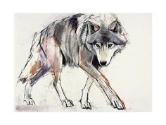 a painting of a wolf walking across a white ground with red, orange and purple colors