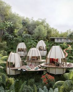 an artist's rendering of a house in the middle of some tropical trees and plants