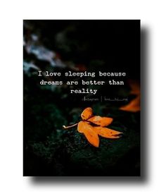 an orange flower with the words i love sleeping because dreams are better than reality