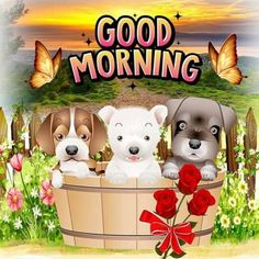 three puppies sitting in a tub with the words good morning