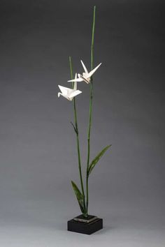 two white origami flowers in a black vase on a gray background with green stems