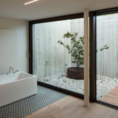 a bathroom with a plant in the middle and a bathtub on the other side